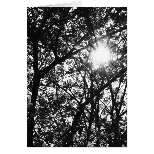 Durch glänzen (Vorne)