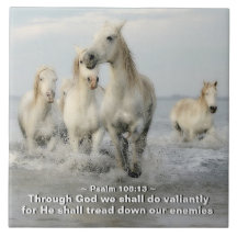 Durch Gott werden wir Valitly Psalm 108:13 tun
