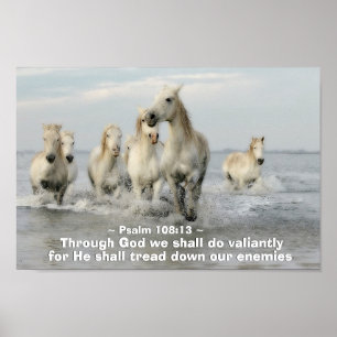 Durch Gott werden wir Valitly Psalm 108:13 tun Poster