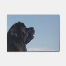 Durchdachte Inka Post-Itanmerkung