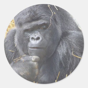 Durchdachter Gorilla-Aufkleber Runder Aufkleber