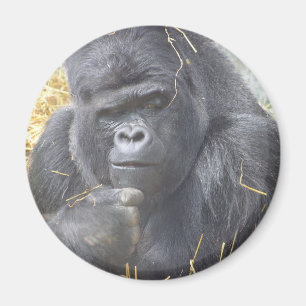Durchdachter Gorilla-Magnet Magnet
