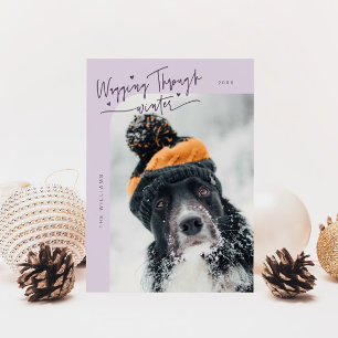 Durchqueren des Fotos des Hundes Lila Weihnachten