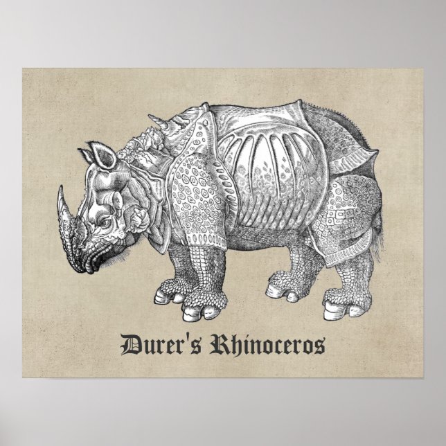 Durer Rhino Poster (Vorne)
