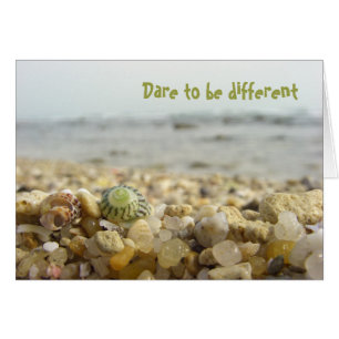 Dürfen Sie sich am Strand anders Muschel & Kiesel