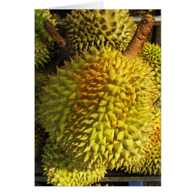 Durian Fruchtkarte (Vorne)