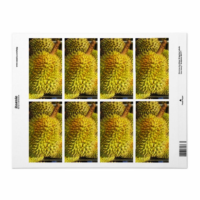 Durian Fruit (Vorne)