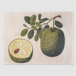 Durian Fruit and Foliage Seidenpapier