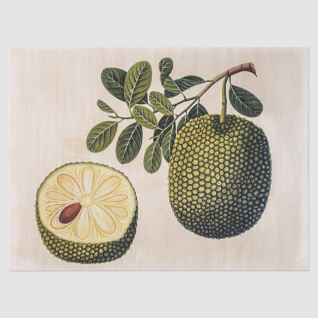 Durian Fruit and Foliage Seidenpapier (Vorderseite)