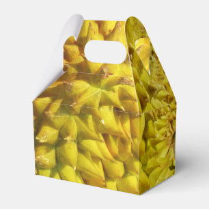 Durian Fruit Geschenkschachtel
