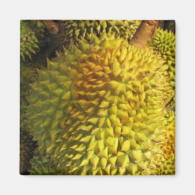 Durian Fruit Magnet (Vorne)