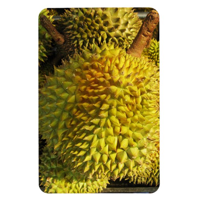Durian Fruit Magnet (Vertikal)