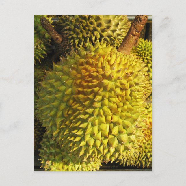 Durian Fruit Postkarte (Vorderseite)