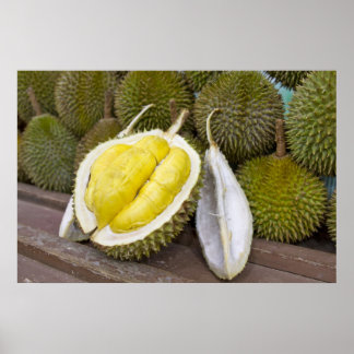 Durian King of Fruits in Singapur City Poster