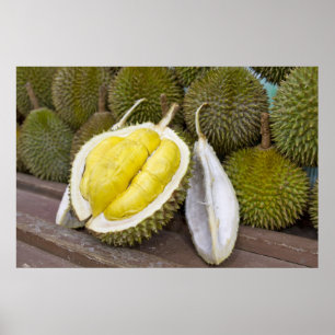 Durian-König der Früchte in Singapur-Stadt Poster