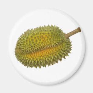Durian Magnet