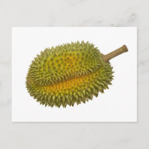 Durian Postkarte