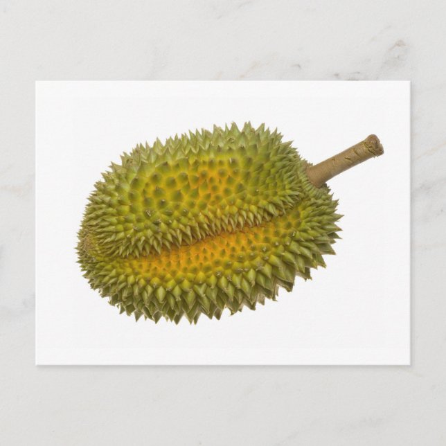 Durian Postkarte (Vorderseite)