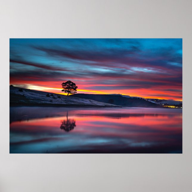 During Golden Hour, A Tree Reflects On A Body Of W Poster (Vorne)