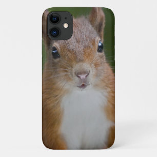 Durstiges Eichhörnchen iPhone 11 Hülle