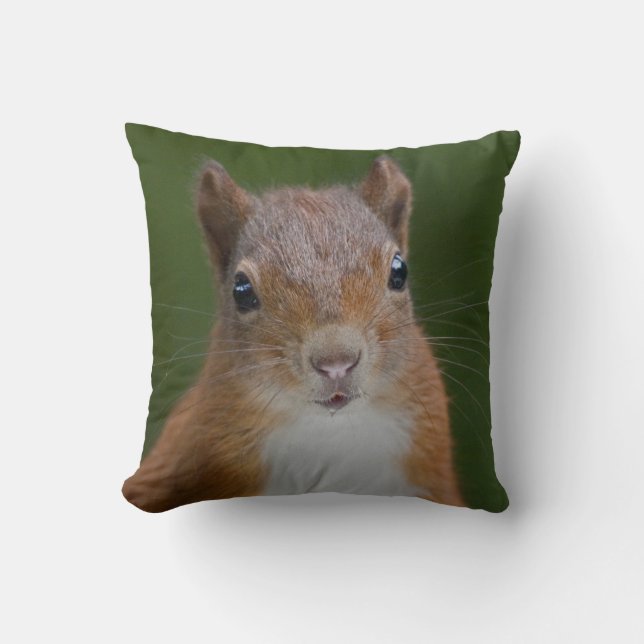 Durstiges Eichhörnchen-Kissen Kissen (Vorderseite)