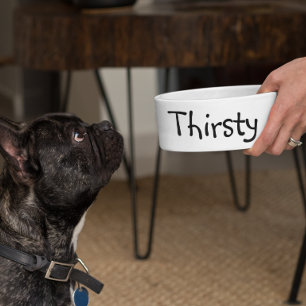 Durstiges Essen Lustiger Humor Hund Haustier Napf