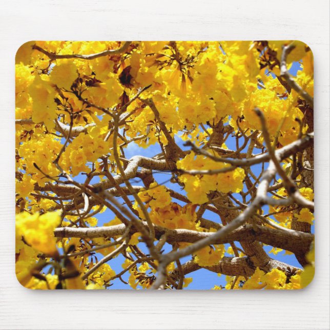 Dusche des Goldes Mousepad (Vorne)