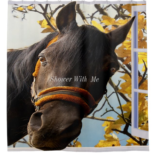 Dusche mit mir Quarterhorse Duschvorhang (Vorderseite)