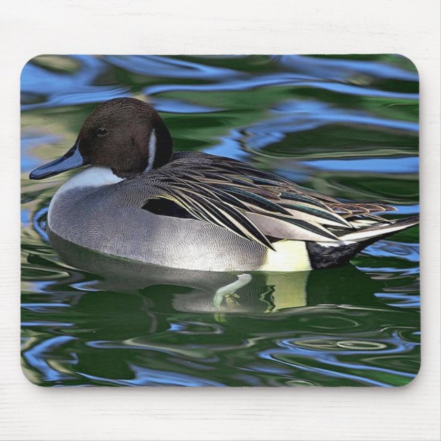 Duschmousepad Mousepad (Vorne)