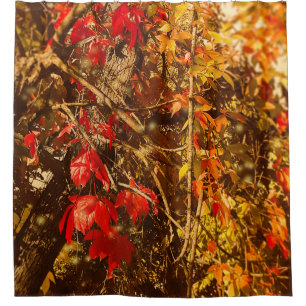 Duschvorhang Herbst Rote Gelbe Reben