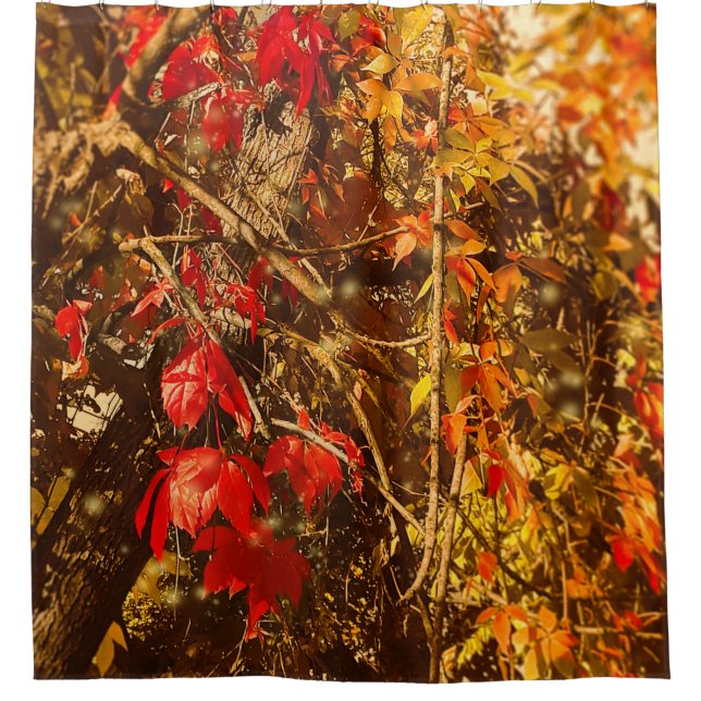 Duschvorhang Herbst Rote Gelbe Reben (Vorderseite)