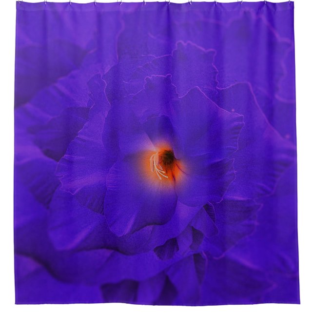 Duschvorhang Schwert Blume Lila Multiplizieren (Vorderseite)