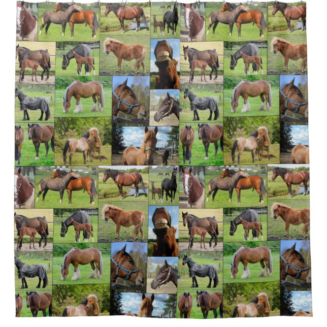 Duschvorhang von Horse Lover (Vorderseite)