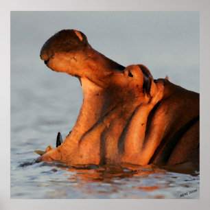 Dusk Hippopotamus Portrait Poster