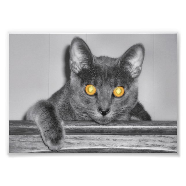 Dusky Gold Foto Print (Vorne)