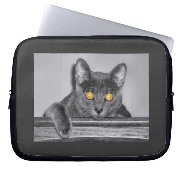 Dusky Gold Laptop Sleeve (Vorderseite)