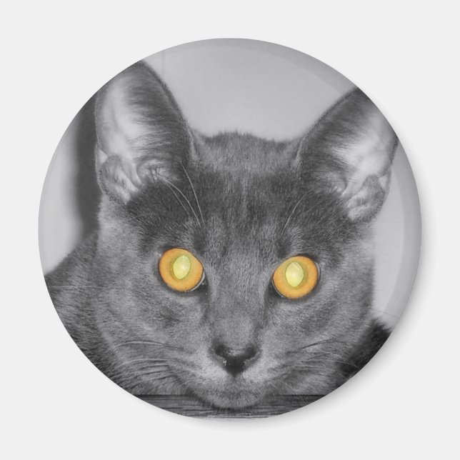 Dusky Gold Magnet (Vorne)