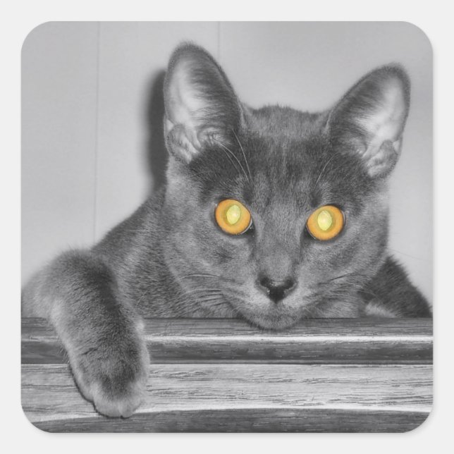 Dusky Gold Stickers (Vorderseite)