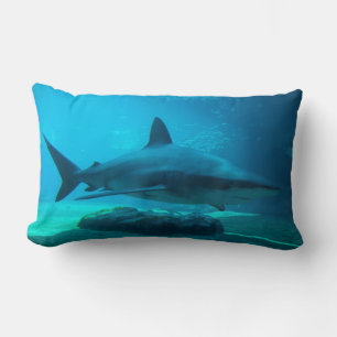 Dusky-Hai (Carcharhinus Obscurus), Ushaka Lendenkissen