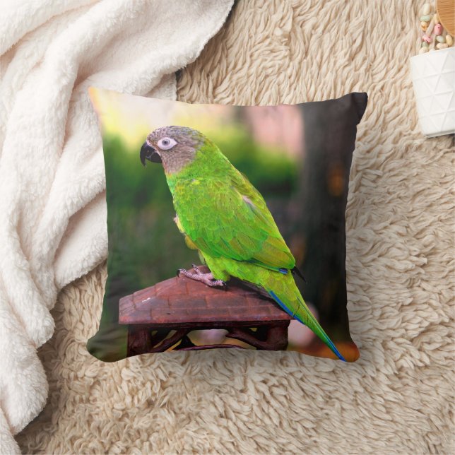 Dusky Headed Congreure Parrot Kissen (Decke)