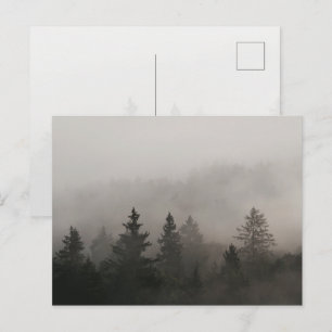 Düsterer nebliger Wald Postkarte