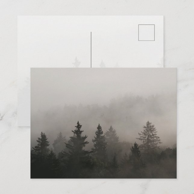 Düsterer nebliger Wald Postkarte (Vorne/Hinten)