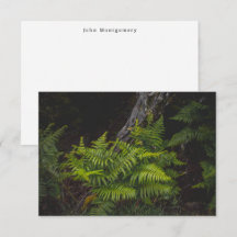 Düsterer Wald Farn und benutzerdefinierter Name (f