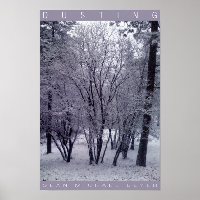 Dusterung Poster (Vorne)