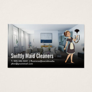 Dusting domestique   Salon