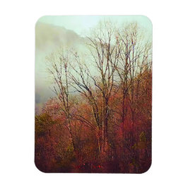 Dusty Foggy Day in Georgia Magnet