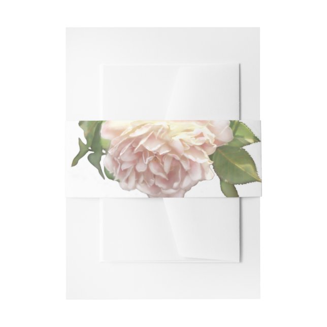 Dusty Ivory Rose Einladungsbanderole (Vorderseite Beispiel)