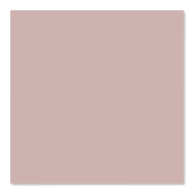 Dusty Rose Rosa Solid, benutzerdefinierter Farbhin Tapete (Vorderseite)