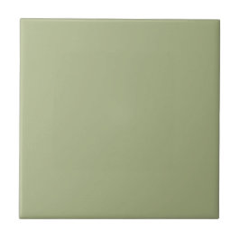 Dusty Sage Green Solid Color Fliese