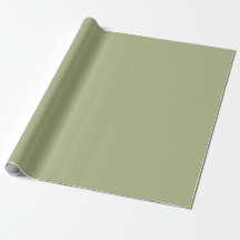 Dusty Sage Green Solid Color